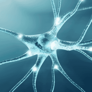A digital illustration of a neuron with glowing synapses, showing branching dendrites against a blue background.